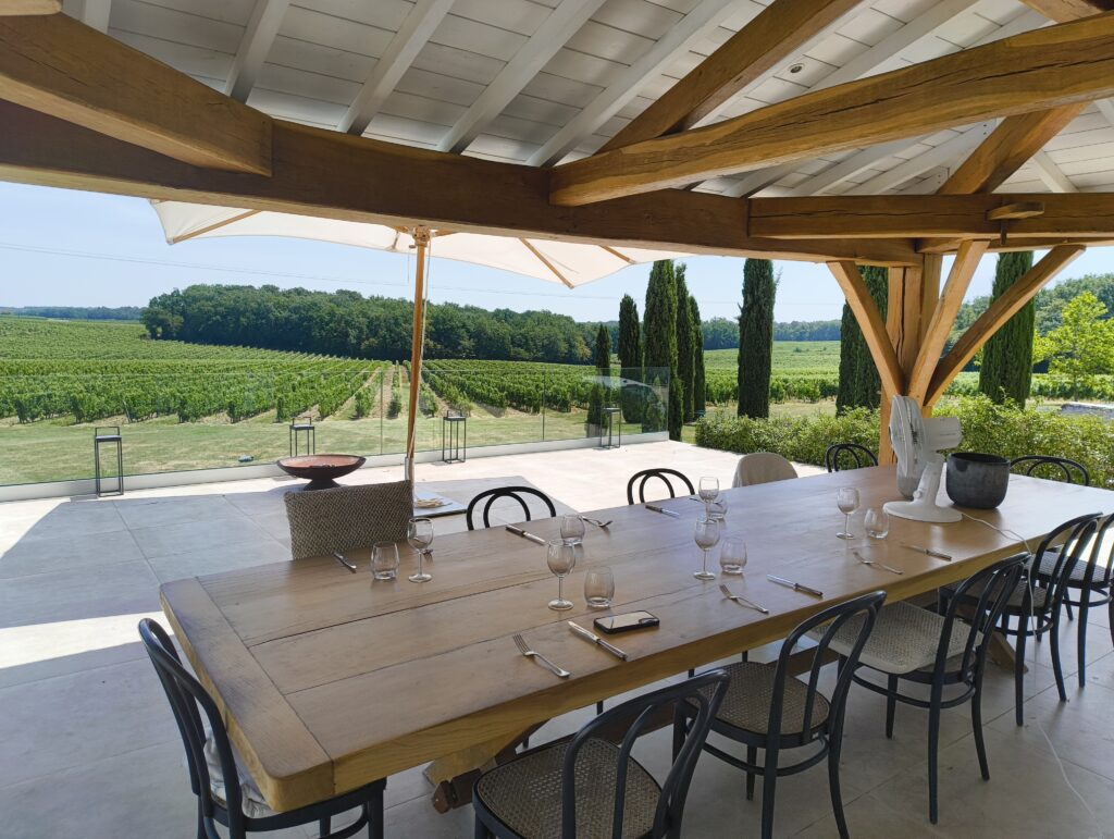 A beautiful view from a terrace onto a vineyard in France.