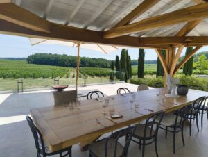 A beautiful view from a terrace onto a vineyard in France.